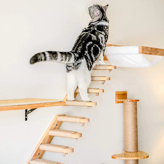 Wall Mounted Scratching Post